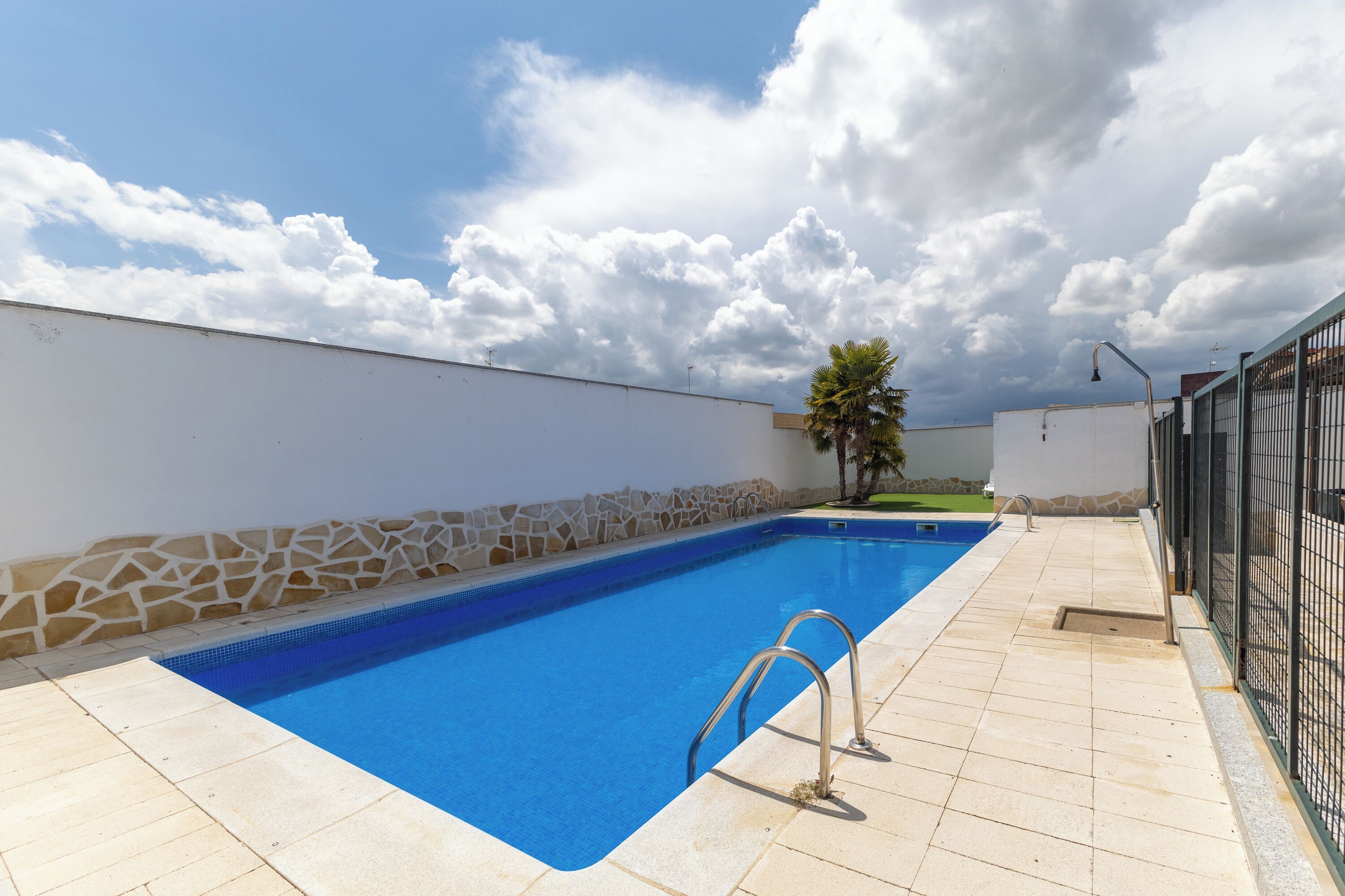 A swimming pool with a stone wall, a palm tree, and a metal fence.