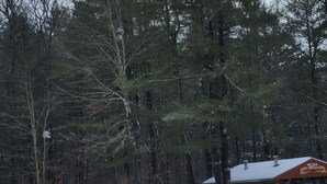 A snow-covered landscape with a wooden cabin and picnic tables. - Tiny House Retreat Cabin (Freeville)