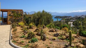 Un jardin désertique avec des cactus et une vue sur une ville côtière.