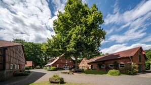 Ein traditionelles Gebäude im europäischen Stil mit Backsteinfassade, einem großen Baum davor und einem gepflasterten Auffahrt.