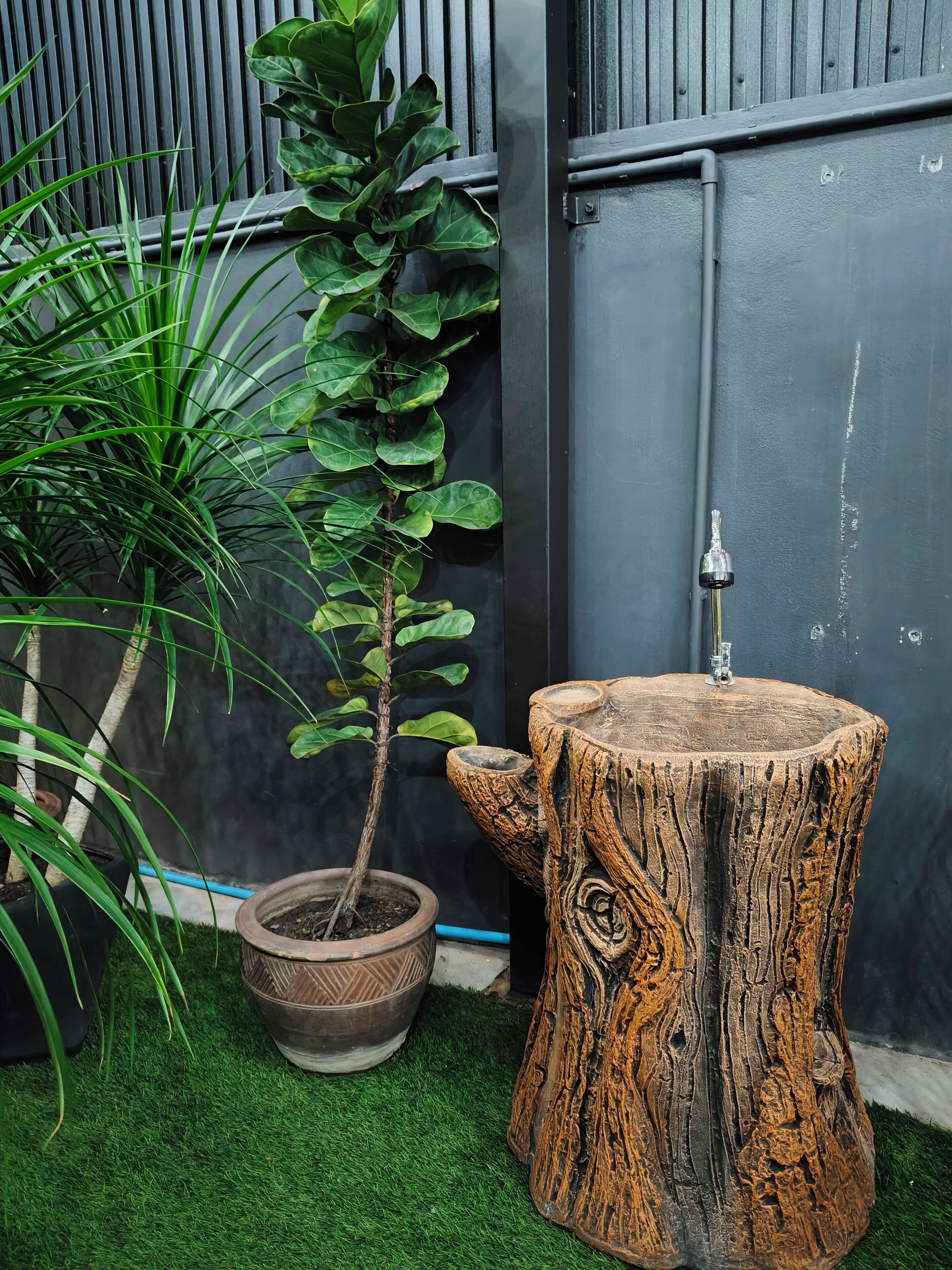 A potted plant, a wooden stump table, and a black door in a garden setting.