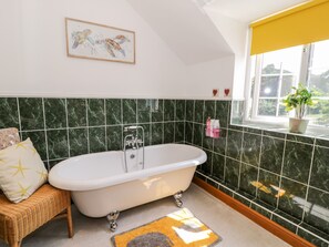 Shower - Preswylfa (Conwy)
