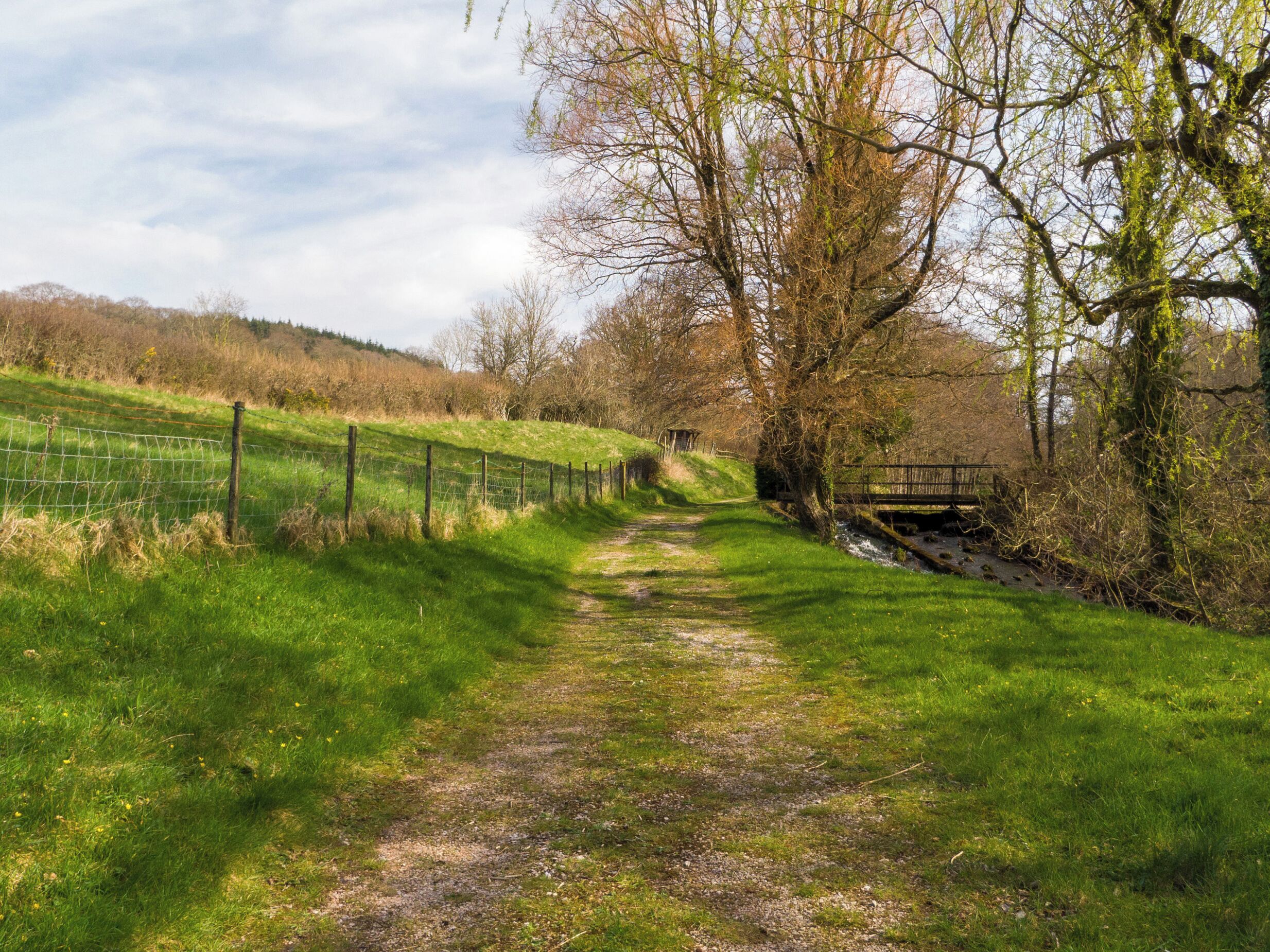 A rural path with a fence on one side and a wooden bridge on the other.