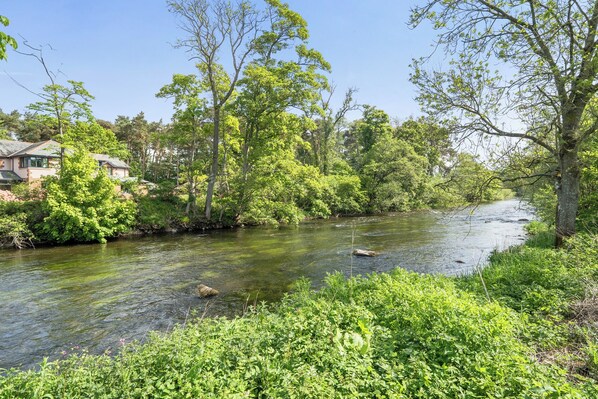 A river with trees and greenery on both sides.