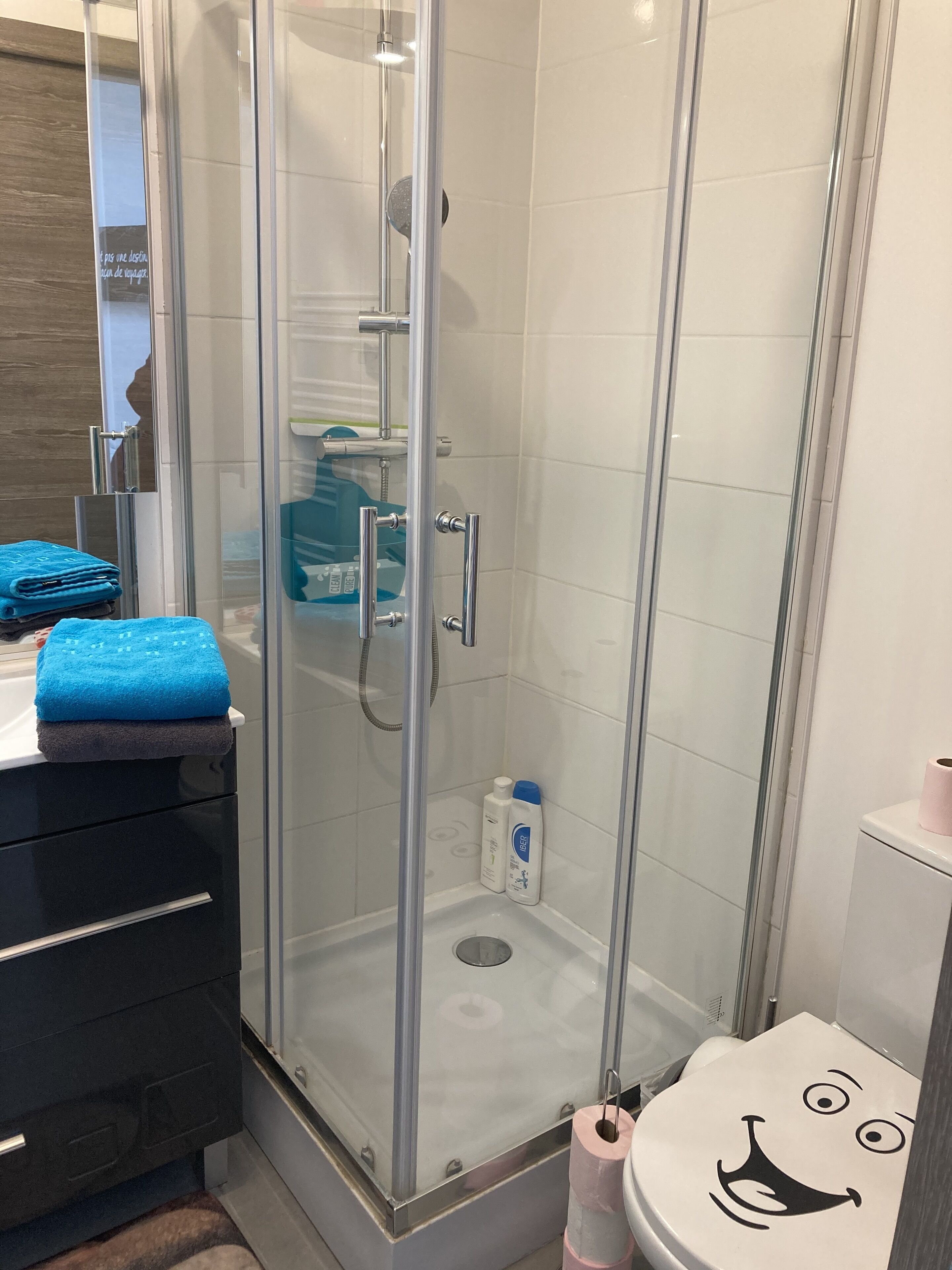 😀 Le Mazais New York, Appartement proche Futuroscope et Poitiers Sud