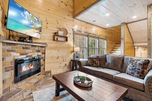 TV connectée, cheminée, jeux vidéo, lecteur de DVD