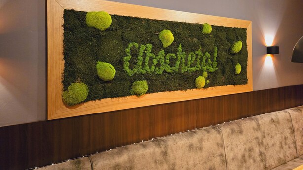 A wall-mounted sign with a wooden frame and green moss, featuring the word "Chicotel" in the center. - Hotel & Restaurant Elbschetal (Wetter)