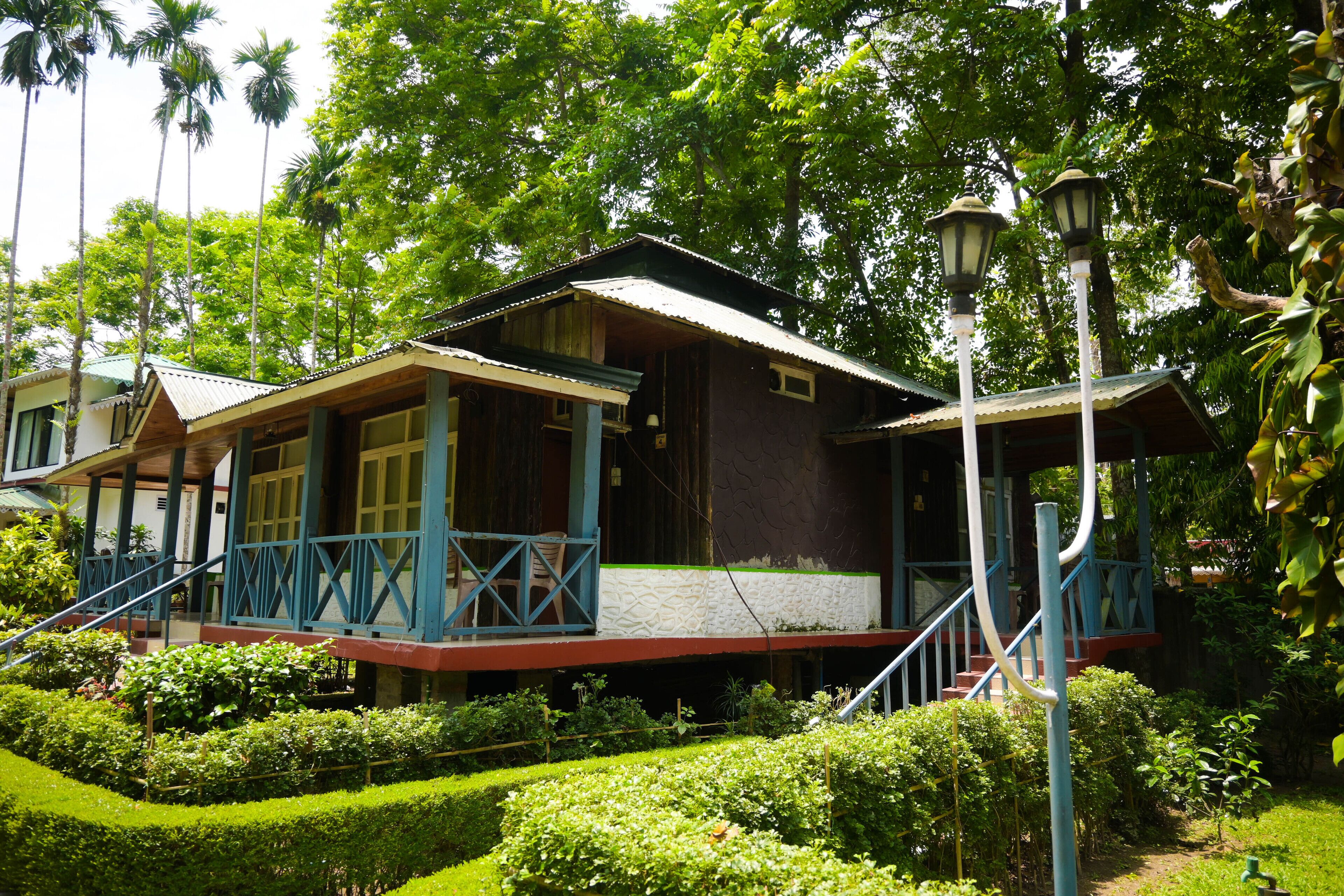 Una casa in legno tradizionale con veranda, immersa nel verde e circondata da palme.