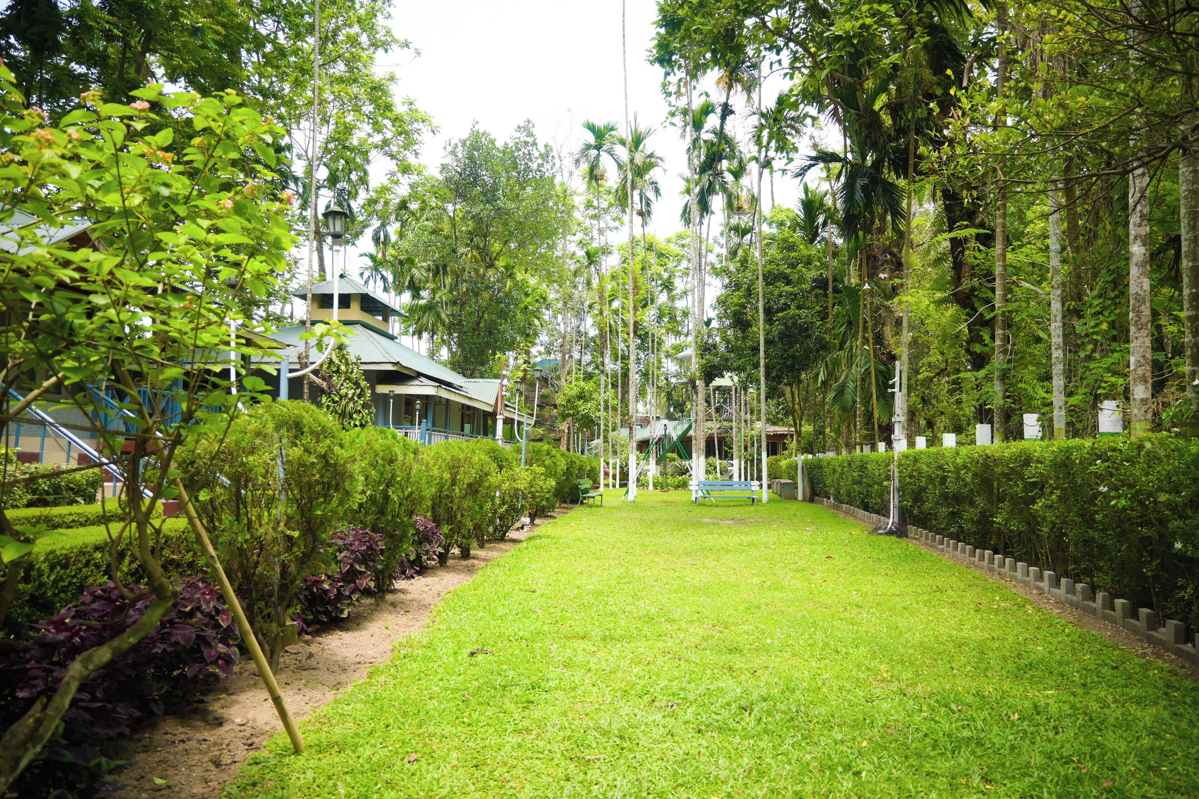 Un jardín bien cuidado con un sendero, setos ordenados y un edificio con techo verde.