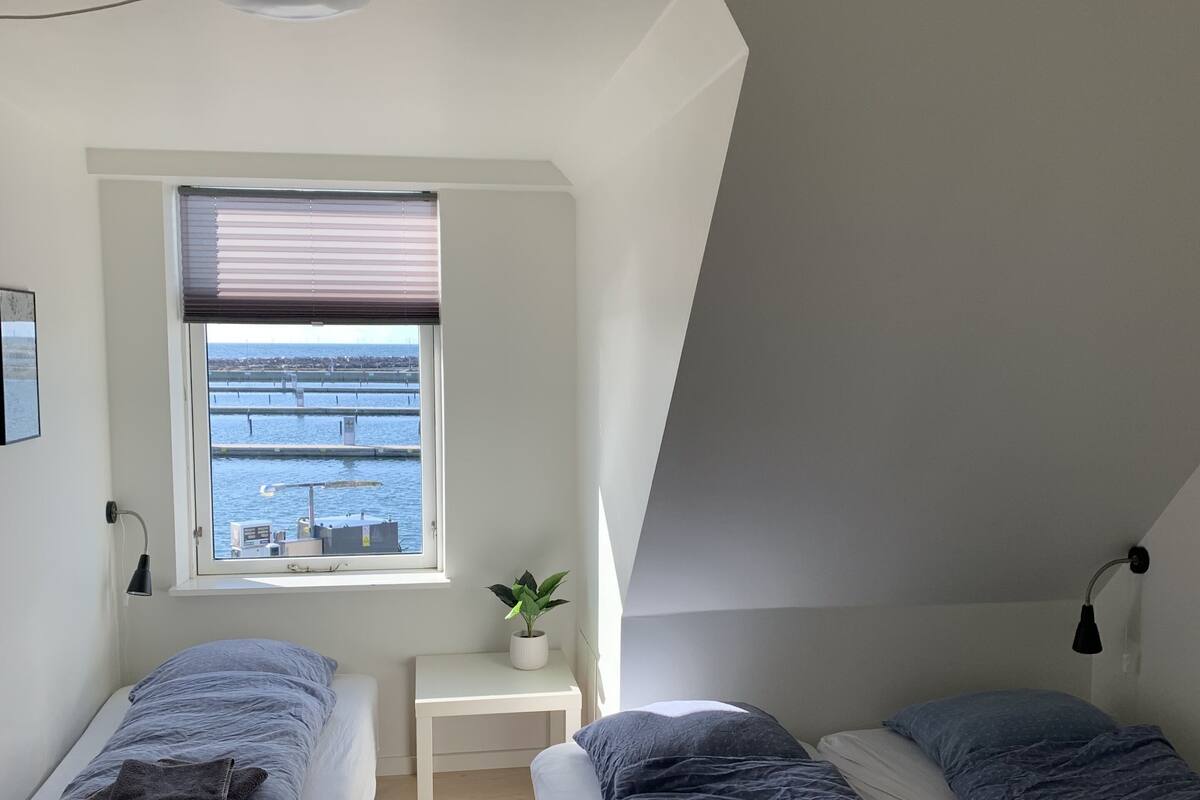 Une chambre avec deux lits, une fenêtre avec des stores, une petite table avec une plante et un luminaire au plafond.