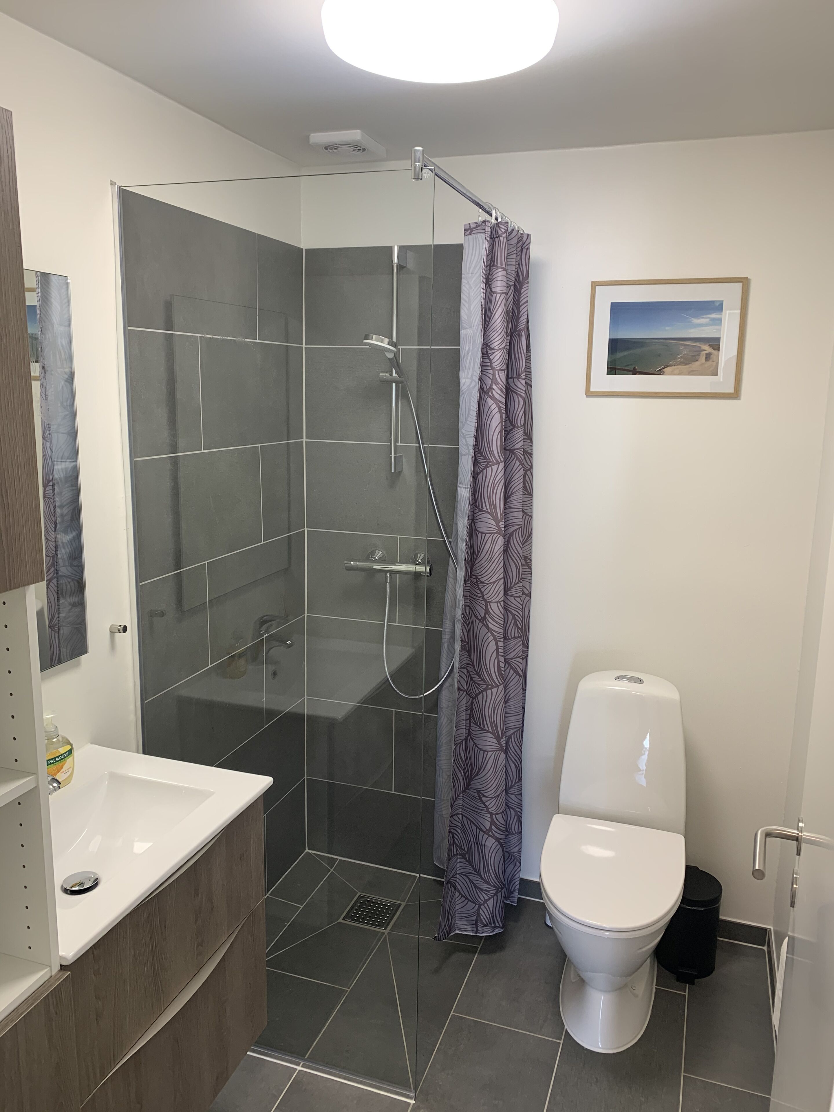 Et moderne badeværelse med en glasbadevægsafskærmning, et hvidt toilet og en vask med et spejl.