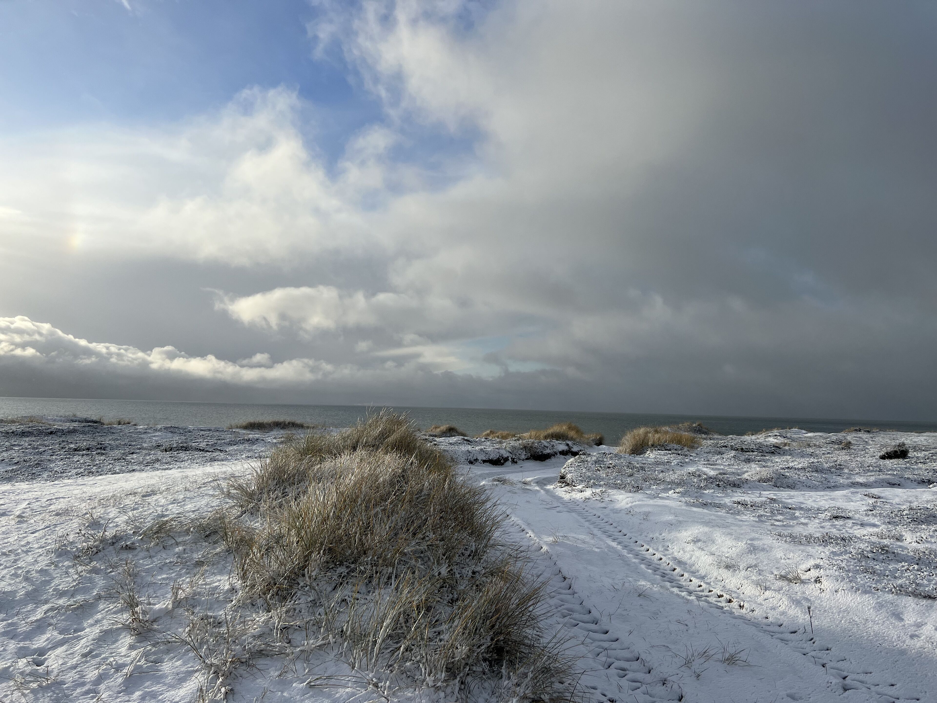 A snow-covered path leading to a beach with dunes and a cloudy sky.
