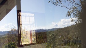Vista a través de una ventana con cielo despejado, un paisaje lejano y un árbol de escasa follaje.