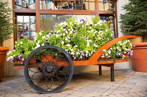 Overnatningsstedets område