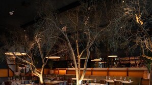 A restaurant with tables set for dining, chairs, and potted plants. - Axis Porto Club Aliados (Porto)