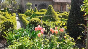 Un jardin agrémenté de haies soigneusement taillées et d’une grande variété de plantes, notamment des tulipes roses.