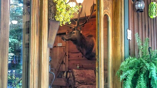 Une façade en bois ornée d’une tête de cerf fixée au mur, une plante en pot et un tapis rouge à l’entrée.