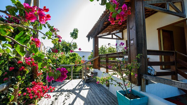 Una terraza de madera con una escalera que conduce a una zona cubierta, rodeada de flores rosas en flor y vegetación.