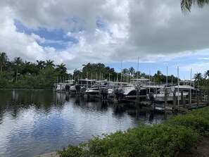 A marina with boats docked, surrounded by lush greenery and palm trees.
