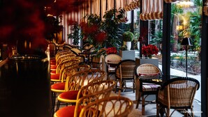 Un restaurante con sillas de mimbre y cojines rojos, ventanas amplias con cortinas y plantas en macetas.