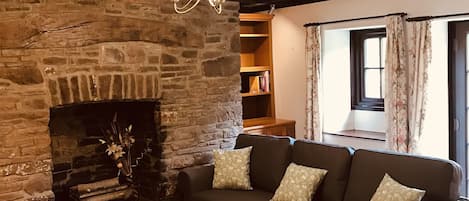 Smart TV, fireplace, books