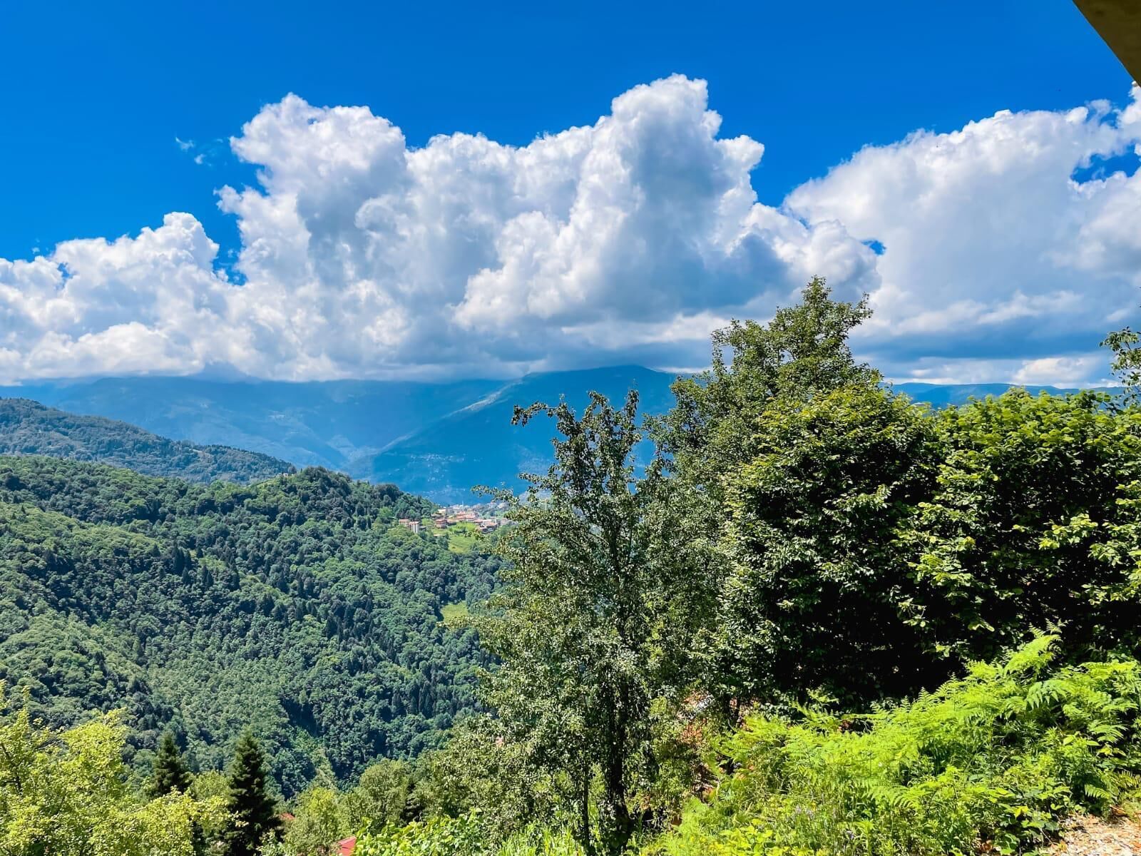 A mountainous landscape with dense green forests and a clear blue sky with fluffy clouds.