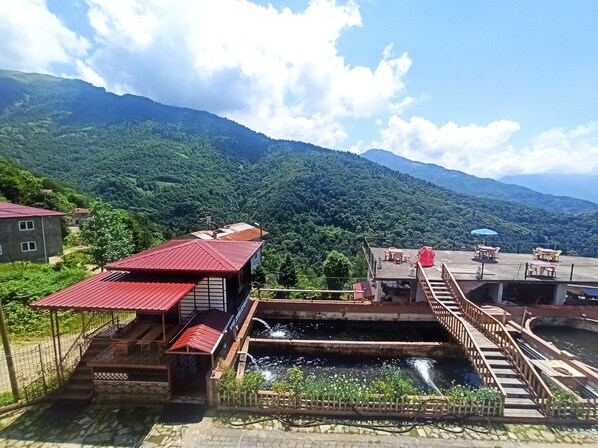 经典开间套房 | 客房景观