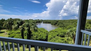 Property grounds - The Skimmer Condo: Downtown on the Bay - Nature Views - Bird watching (Cedar Key)