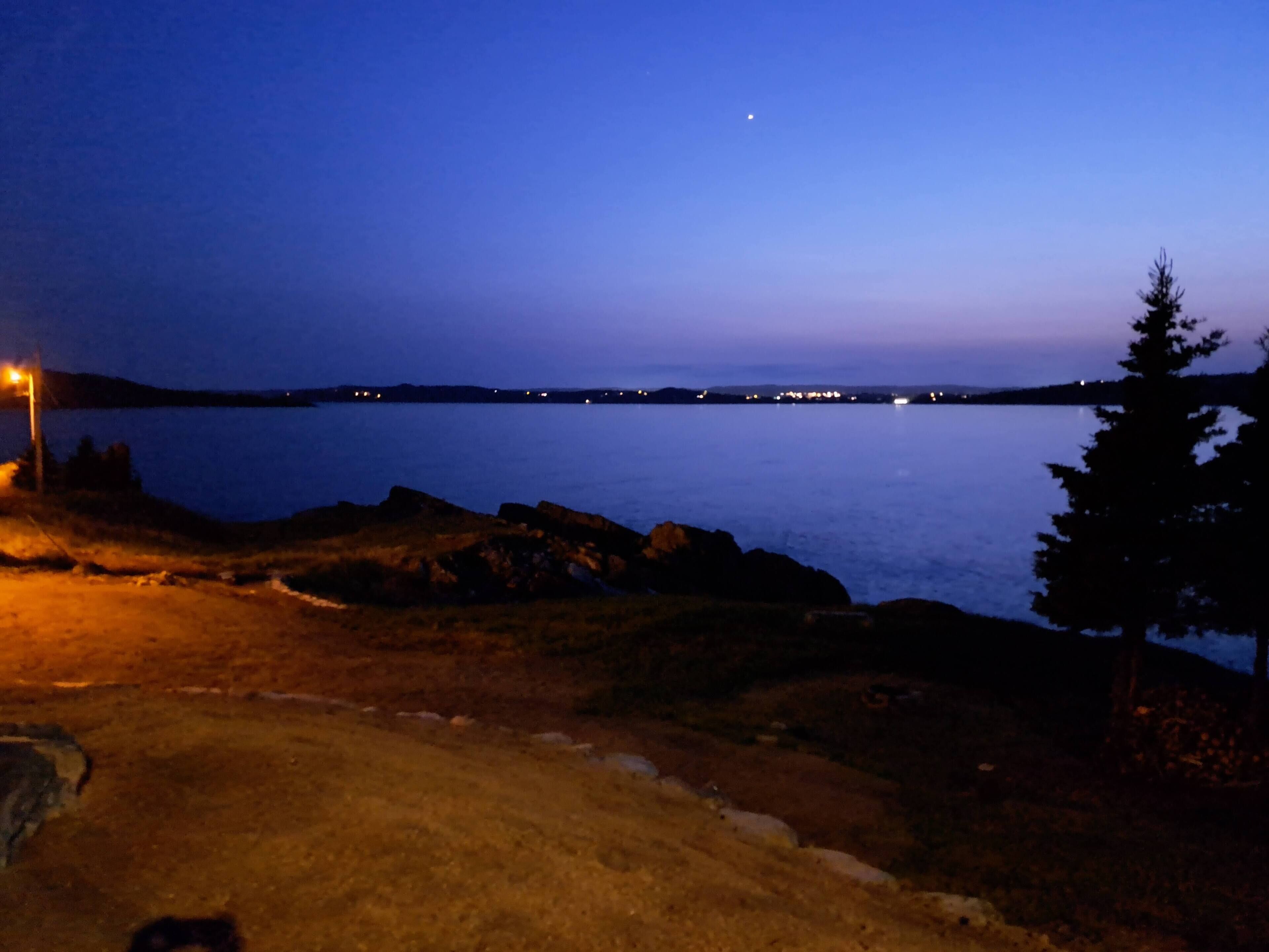 A nighttime view of a lake with a distant city skyline, a road with a streetlight, and a tree on the right.