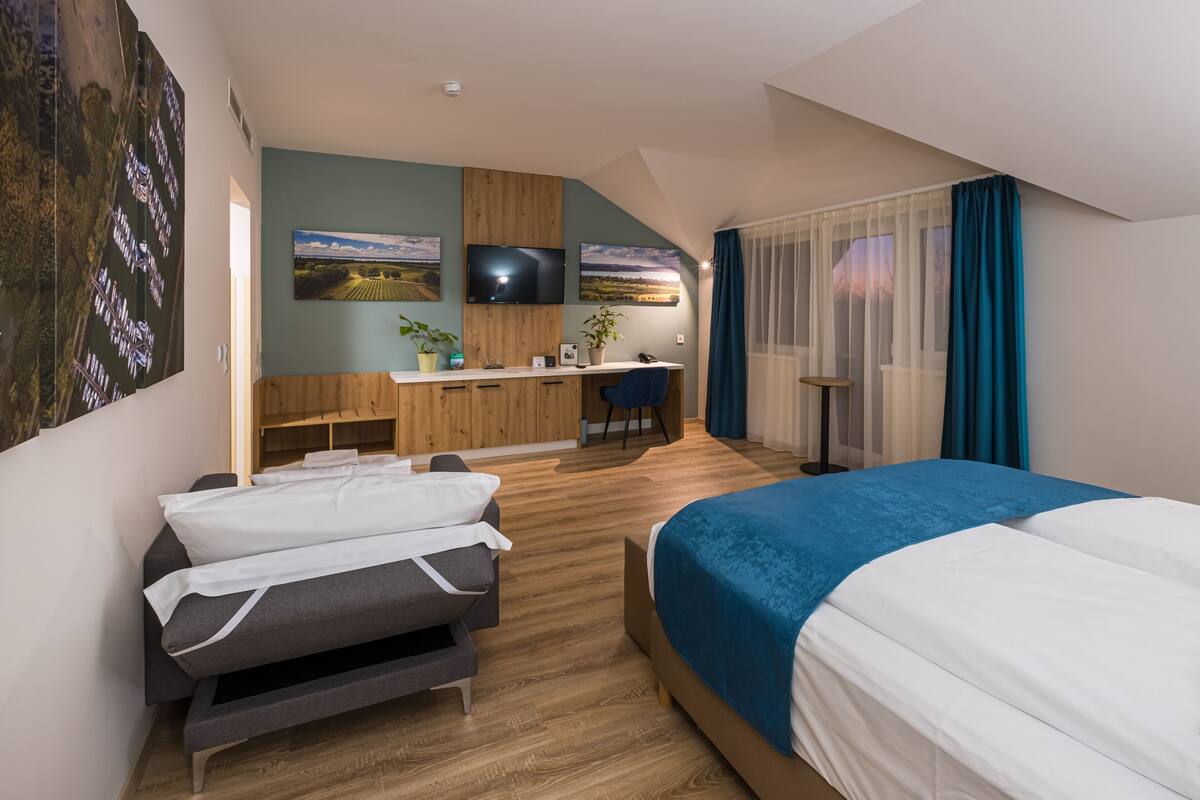 A modern hotel room with a bed, a sofa bed, a desk, and a TV.