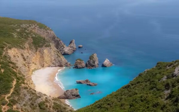 Un paysage côtier avec une plage, des affleurements rocheux et une végétation luxuriante.