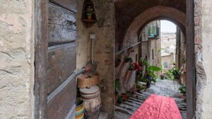A narrow alleyway with a rustic stone wall, a wooden door, and a small shelf with a potted plant. - Schöne, Kleine Wohnung in Zentraler Lage (Siena)