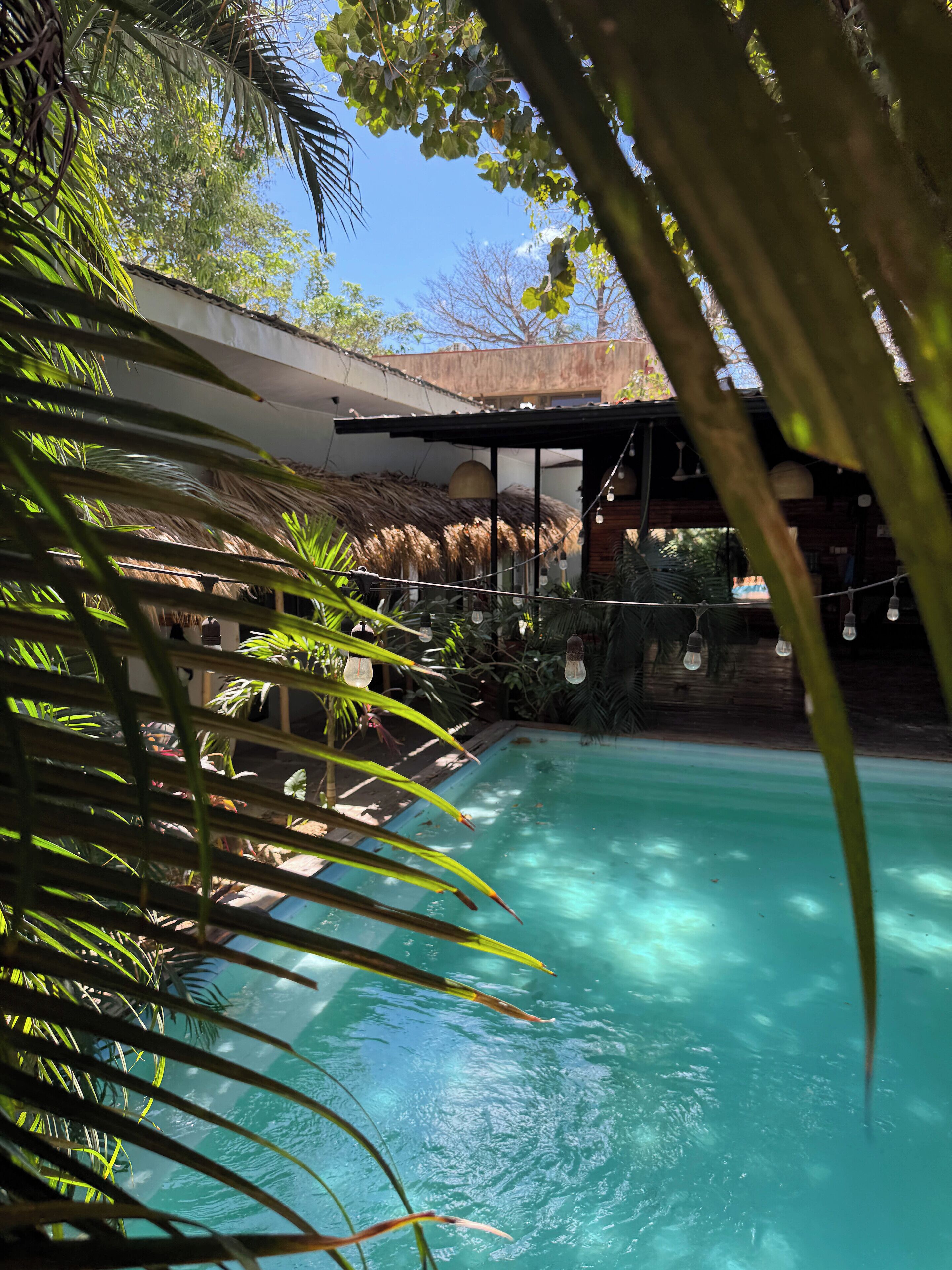 A pool area with a thatched roof structure, surrounded by lush greenery and hanging light bulbs.