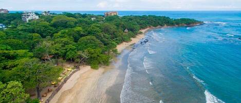 A coastal area with a sandy beach, dense green vegetation, and a few buildings in the background.