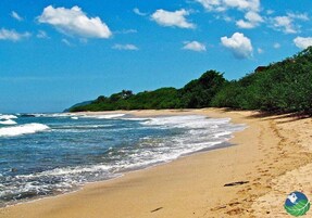 Una playa con agua azul cristalina, orilla de arena y vegetación verde.