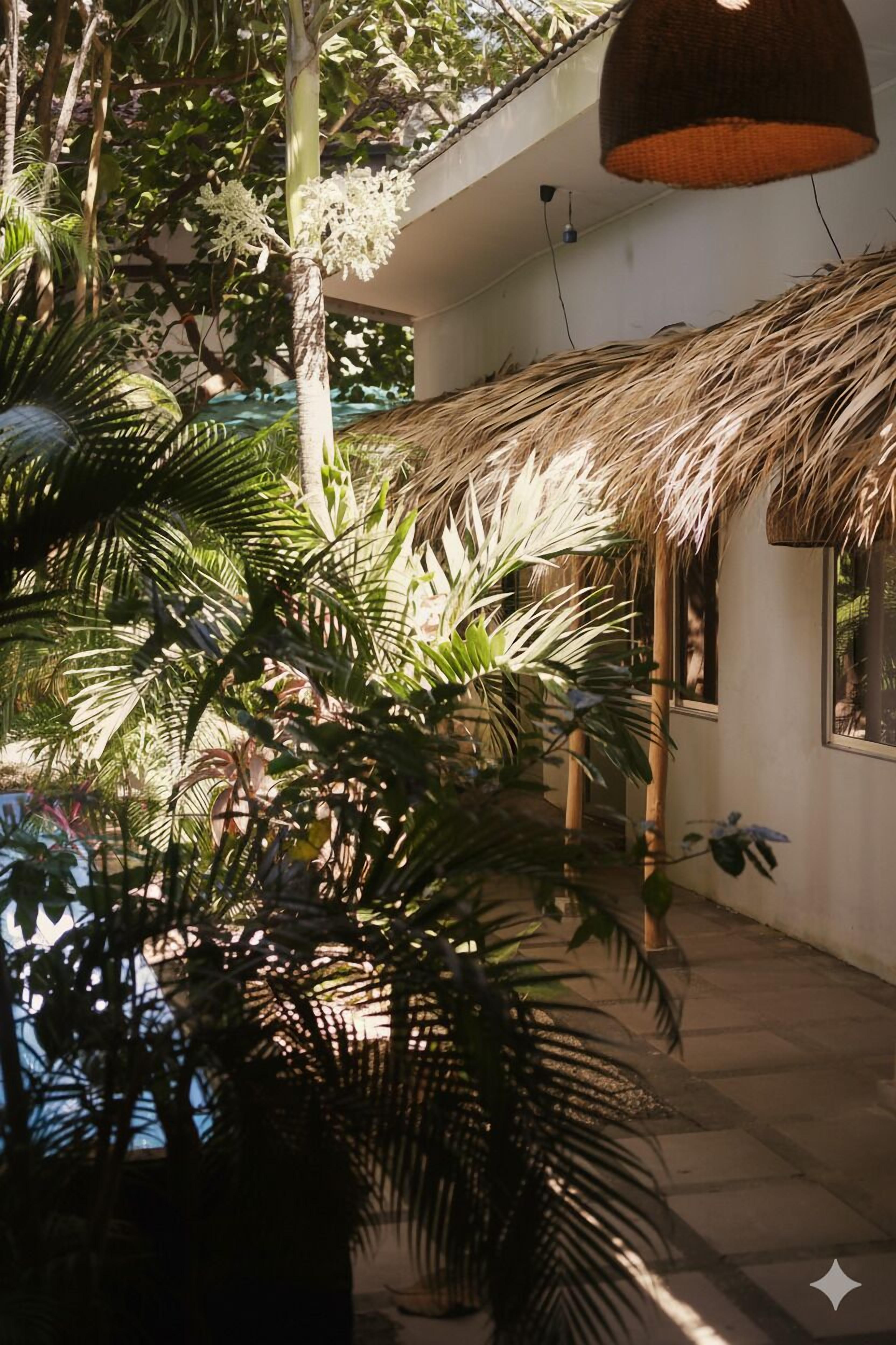 Un jardí interior tropical amb teulada de palla, plantes en testos i un llum penjant.
