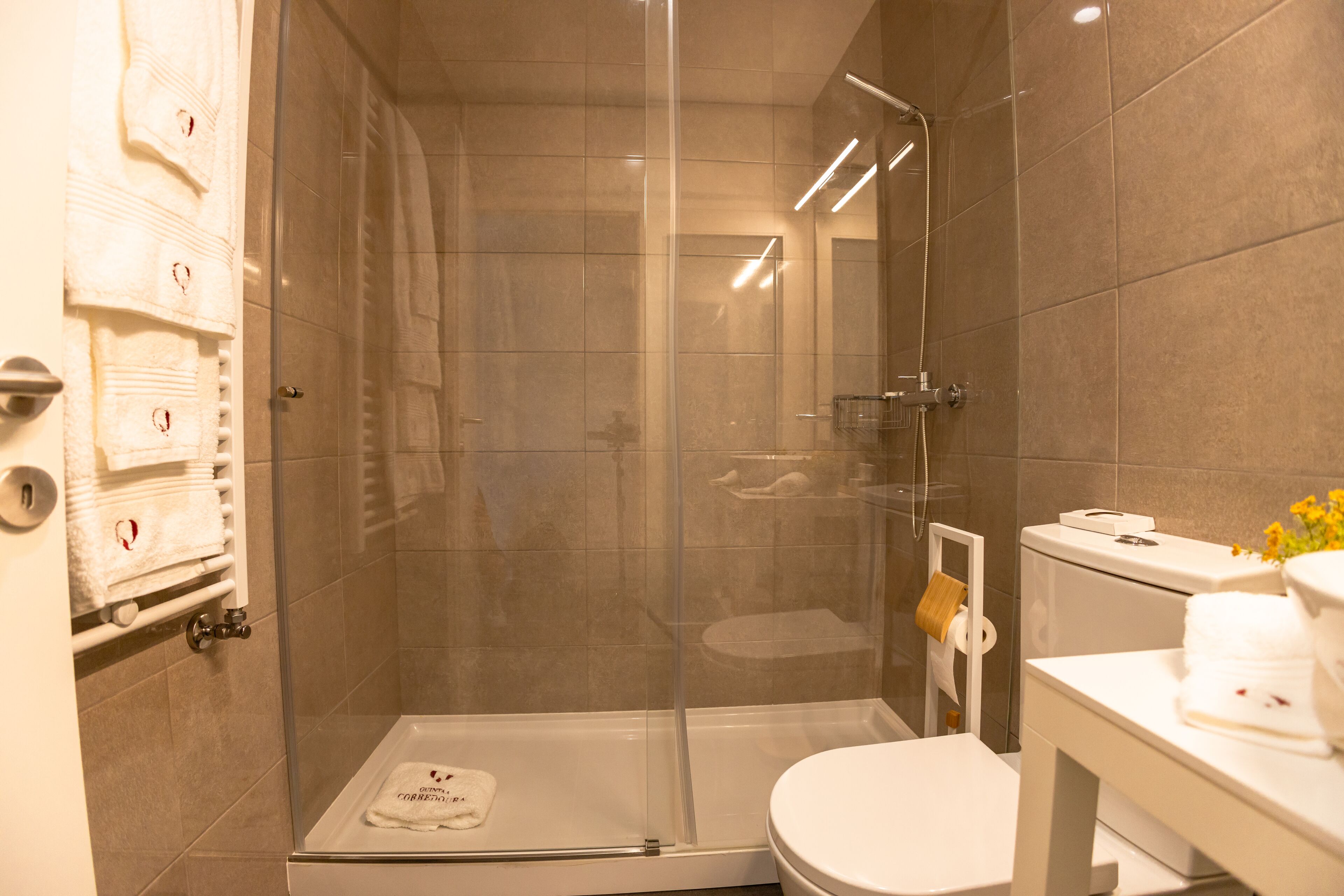 A modern bathroom with a glass-enclosed shower, a toilet, and a sink area.