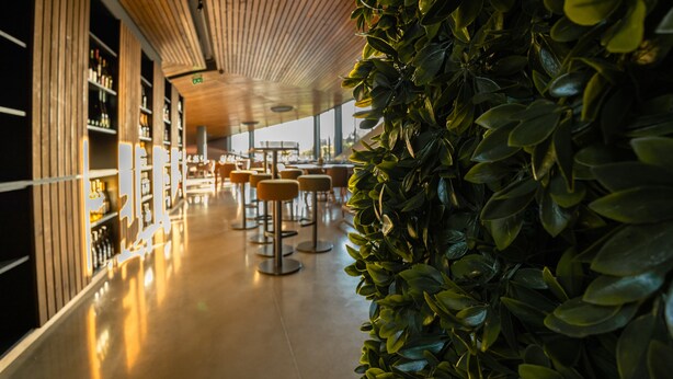 A modern interior with wooden slatted ceilings, a polished floor, and a green leafy wall. - Quinta da Corredoura Hotel Rural (Guimarães)