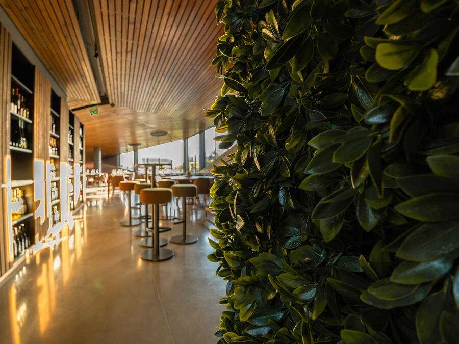 Televisión LED de 70 pulgadas con canales por cable, una televisión