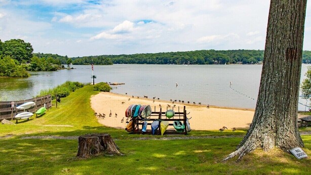 A lakeside view with a sandy beach, kayaks, and a 'No Dogs' sign.