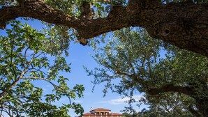 A villa with a red-tiled roof, surrounded by lush greenery and a clear blue sky.