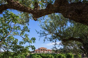 Villa, Accessible