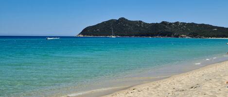 بالقرب من الشاطئ