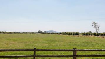 Innvendig