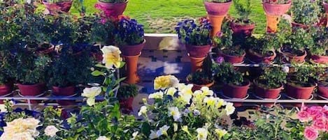 Vue sur le jardin