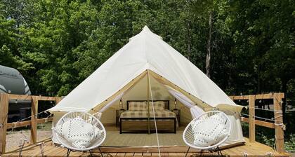 Beautiful experience on Gull Lake.