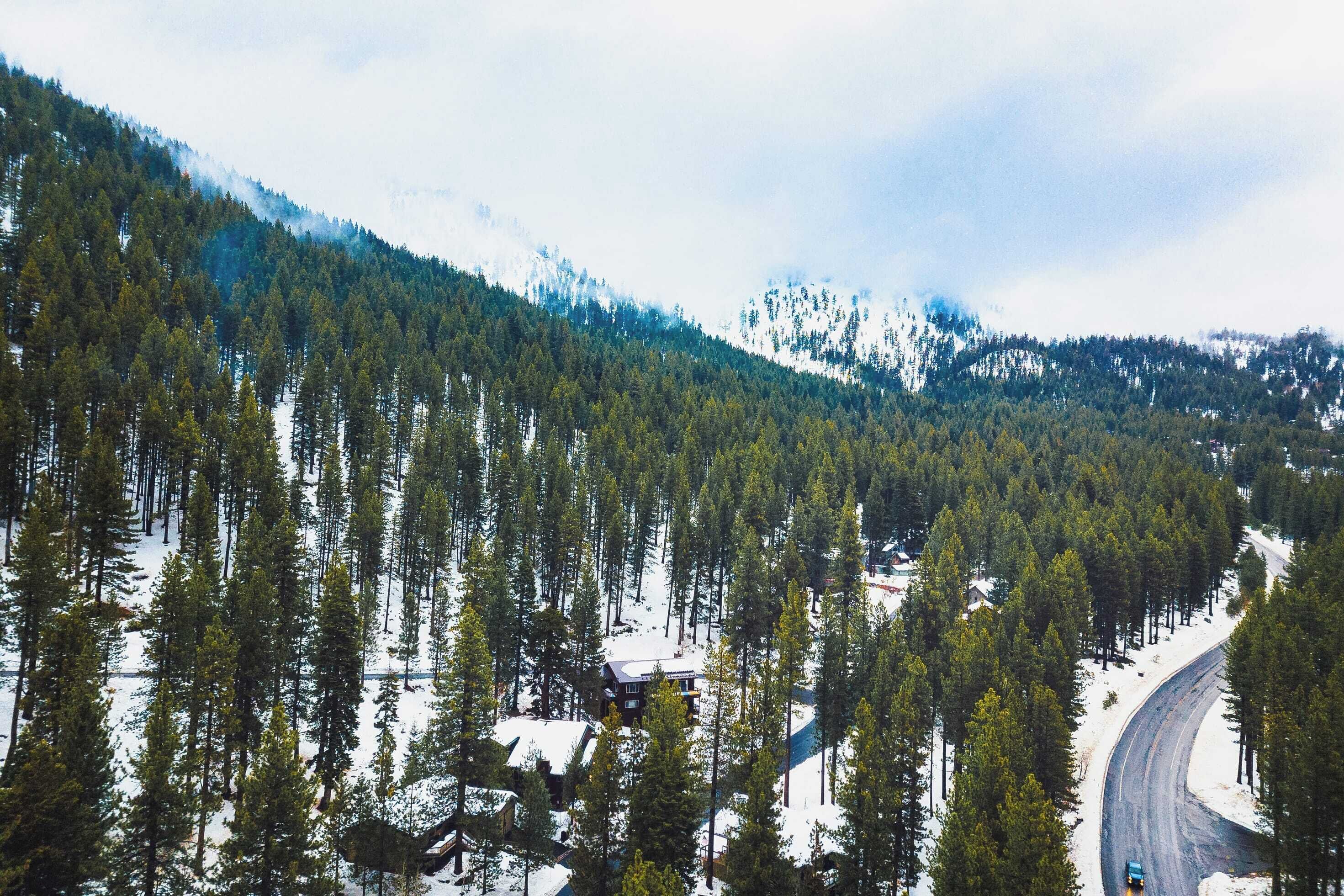 A snow-covered mountain with a winding road and a cabin surrounded by tall pine trees.
