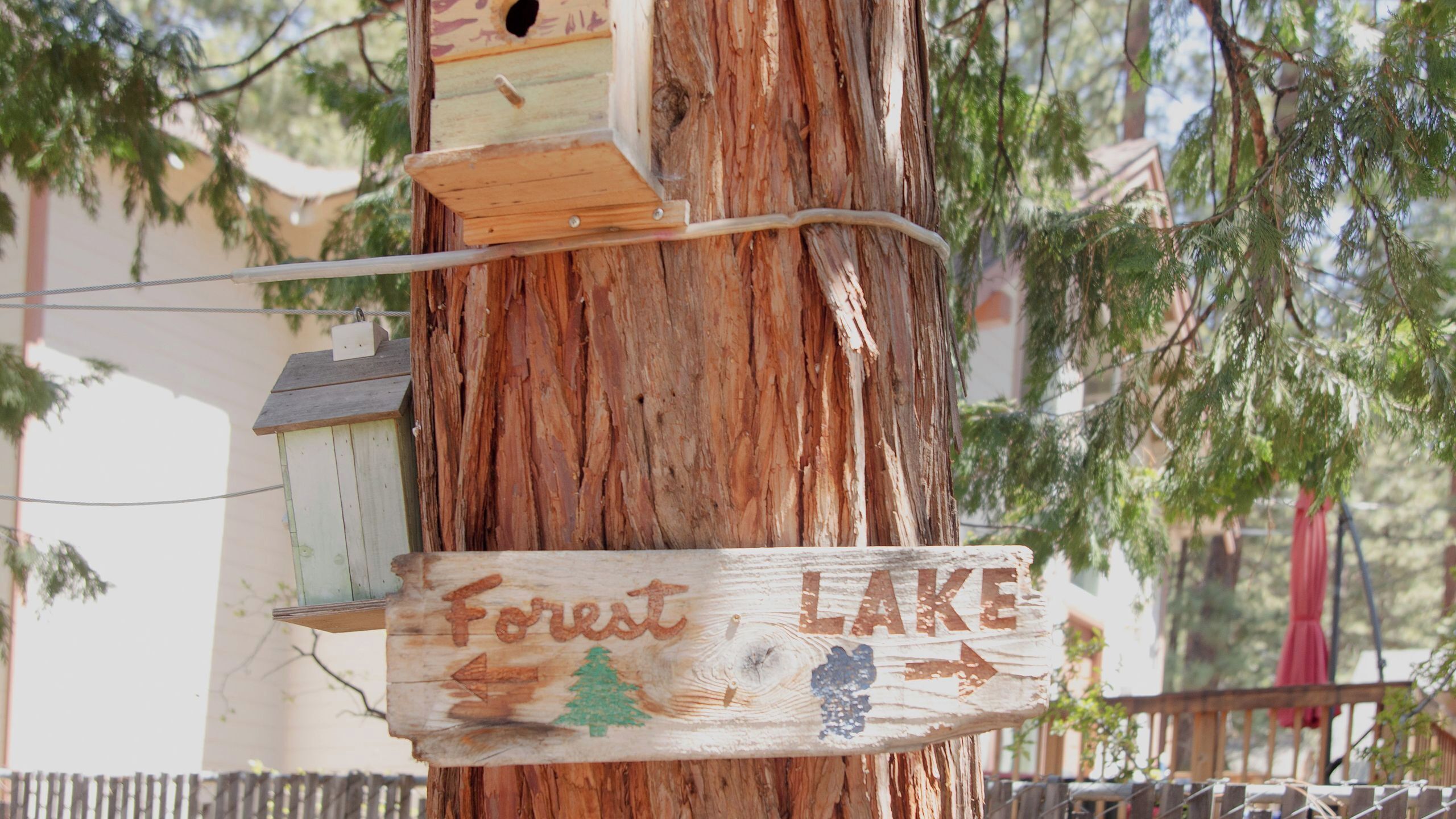 A wooden sign with 'Forest Lake' and directional arrows, attached to a tree.