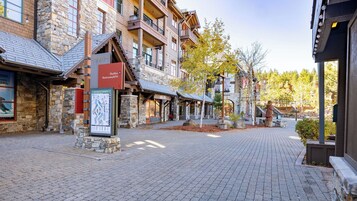 Apartment (1 Bedroom) | Interior