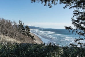 A coastal landscape with a beach, trees, and a view of the ocean.